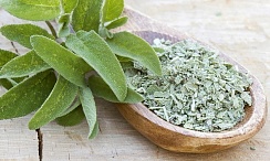 Шалфей лекарственный Sage